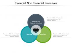Financial non financial incentives ppt powerpoint presentation model files cpb