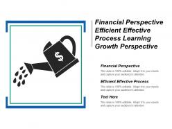 Financial perspective efficient effective process learning growth perspective cpb
