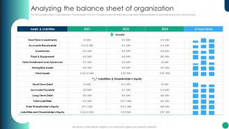 Financial Planning And Analysis Best Practices Analyzing The Balance Sheet Of Organization