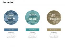 Financial ppt slides infographic template