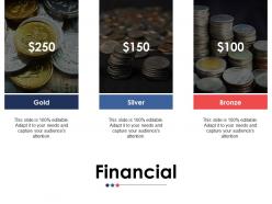 Financial ppt styles format