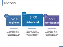 Financial ppt summary skills