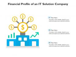 Financial Profile Of An IT Solution Company