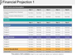 Financial Projection 1 Presentation Outline