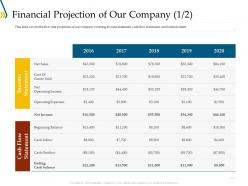 Financial projection of our company flow ppt file elements
