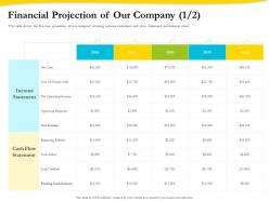 Financial projection of our company income ppt infographics