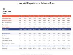 Financial Projections Balance Sheet Business Investigation
