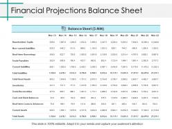 Financial projections balance sheet ppt show graphics example