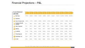 Financial projections p and l inorganic growth opportunities corporates