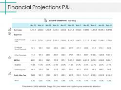 Financial projections p and l ppt gallery model