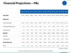 Financial projections p and l ppt professional graphics download