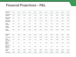 Financial projections p and l ppt styles summary