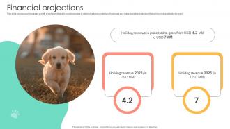 Financial Projections Pet Sitting Service Investor Funding Elevator Pitch Deck