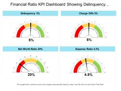 Financial ratio kpi dashboard showing delinquency charge offs and net worth ratio