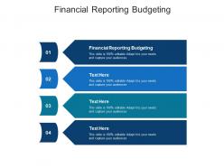 Financial reporting budgeting ppt powerpoint presentation layouts mockup cpb