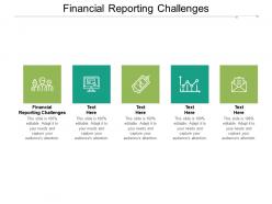 Financial reporting challenges ppt powerpoint presentation outline ideas cpb