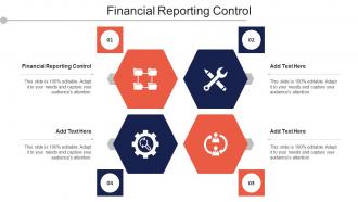 Financial Reporting Control Ppt Powerpoint Presentation Model Show Cpb