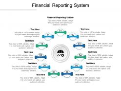 Financial reporting system ppt powerpoint presentation portfolio summary cpb