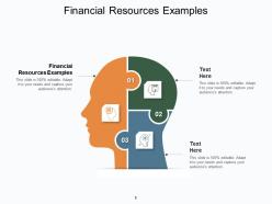 Financial resources examples ppt powerpoint presentation ideas picture cpb