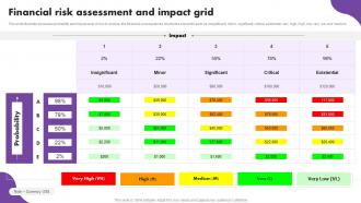 Financial Risk Assessment And Impact Grid