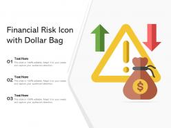 Financial risk icon with dollar bag
