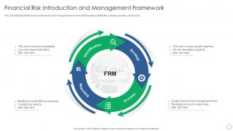 Financial Risk Introduction And Management Framework