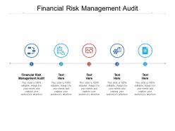 Financial risk management audit ppt powerpoint presentation gallery designs cpb