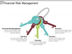 Financial risk management ppt powerpoint presentation diagram graph charts cpb