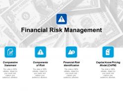 Financial risk management ppt styles design inspiration