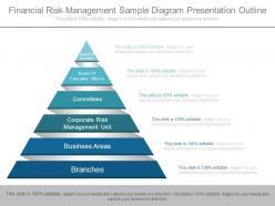 Financial Risk Management Sample Diagram Presentation Outline