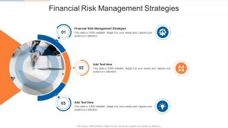 Financial Risk Management Strategies In Powerpoint And Google Slides Cpb
