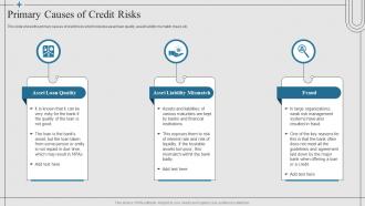 Financial Risk Management Strategies Primary Causes Of Credit Risks