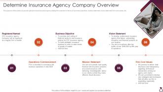 Financial Services Consultancy Determine Insurance Agency Company Overview