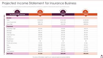 Financial Services Consultancy Projected Income Statement For Insurance Business