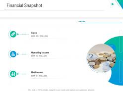Financial Snapshot Business Outline Ppt Microsoft