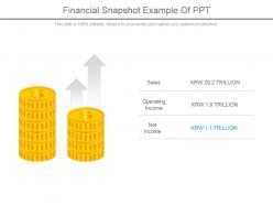 Financial snapshot example of ppt