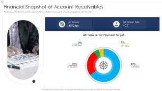 Financial snapshot of account receivables