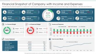 Financial snapshot of company with income and expenses