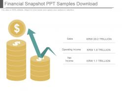 Financial snapshot ppt samples download