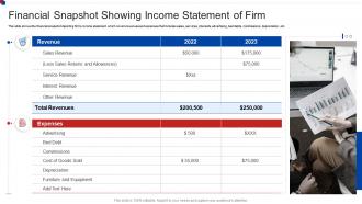 Financial snapshot showing income statement of firm