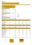 Financial Statements And Valuation For Renovation And Remodling Business Plan In Excel BP XL