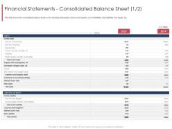 Financial statements consolidated balance sheet marketing and selling franchise