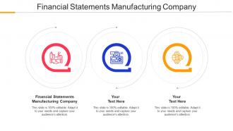 Financial Statements Manufacturing Company Ppt Powerpoint Presentation Infographic Gridlines Cpb