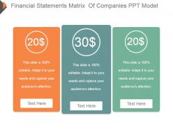 Financial statements matrix of companies ppt model