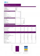 Financial Statements Modeling And Valuation For Mens Grooming Business Plan In Excel BP XL