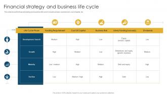 Financial Strategy And Business Life Cycle