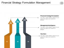 Financial strategy formulation management intelligence investment predictions cpb