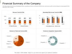 Financial Summary Of The Company Equity Crowd Investing Ppt Formats