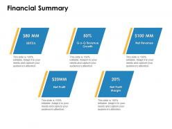 Financial Summary Revenue Marketing Ppt Powerpoint Presentation Examples