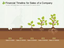 Financial timeline for sales of a company